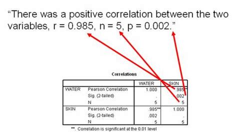 how to report correlation apa.